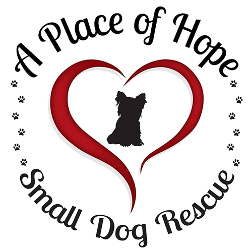 A Place for Hope Small Dog Rescue