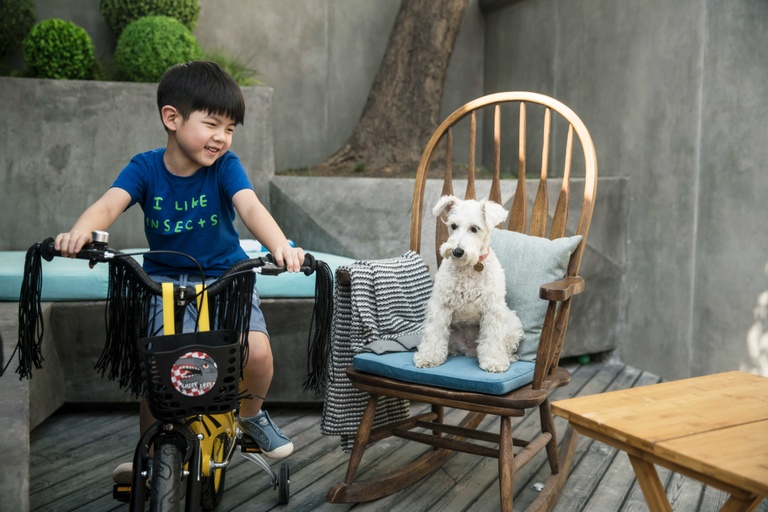 © 2019 Emperor Film Production Company Limited, Emperor Film and Entertainment (Beijing) Limited, Edko (Beijing) Films Limited, Irresistible Alpha Limited, Edko Films Limited.  All Rights Reserved.  