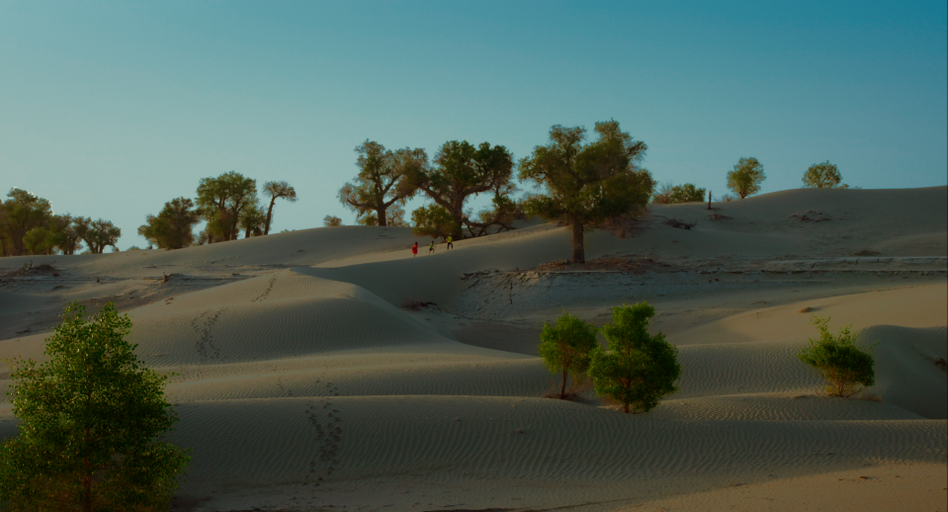 © Shanghai Eternity Media & Culture Co., Ltd