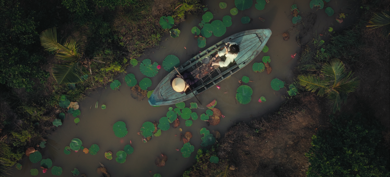 © 2025 Catherine T. Nguyen. All rights reserved.