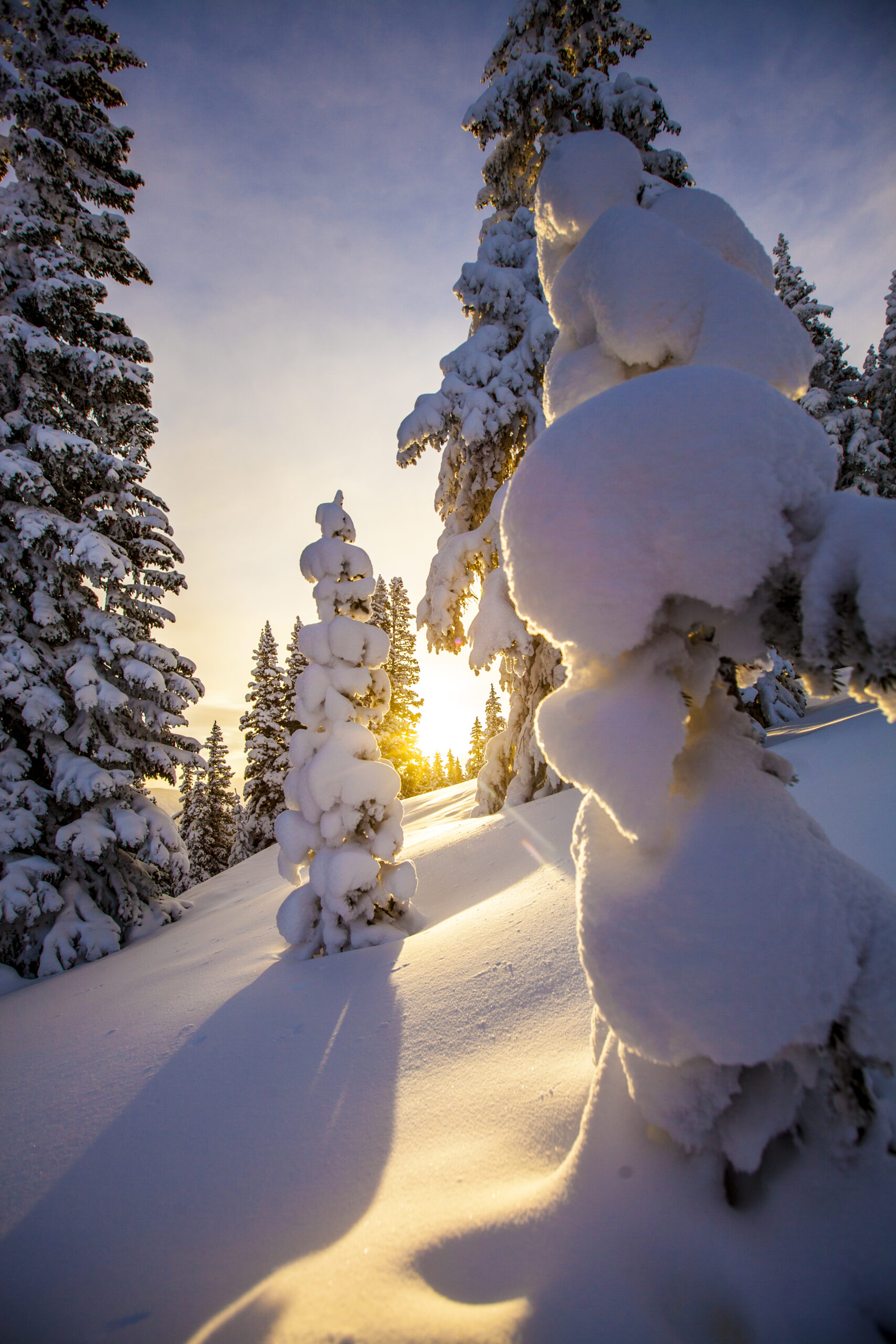 Mollie Aspen - Luxury ski hotel gallery image 6 showing alpine architecture, interior design, or mountain views