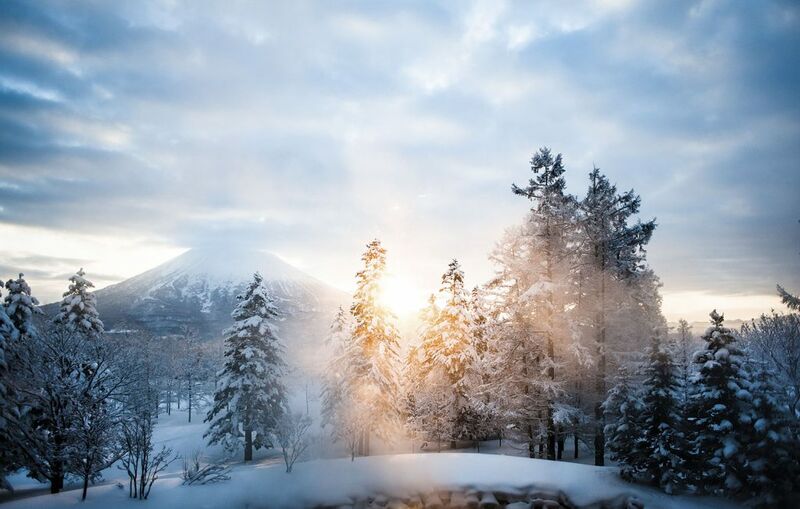 Setsu Niseko - Luxury ski hotel gallery image 9 showing alpine architecture, interior design, or mountain views