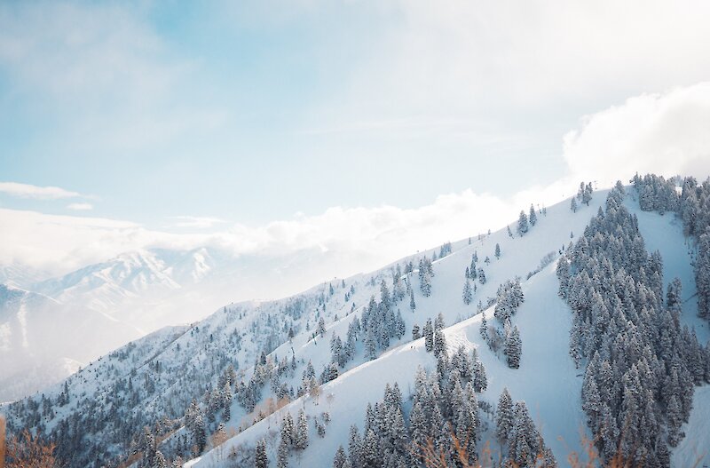 Sundance Resort - Luxury ski hotel gallery image 37 showing alpine architecture, interior design, or mountain views