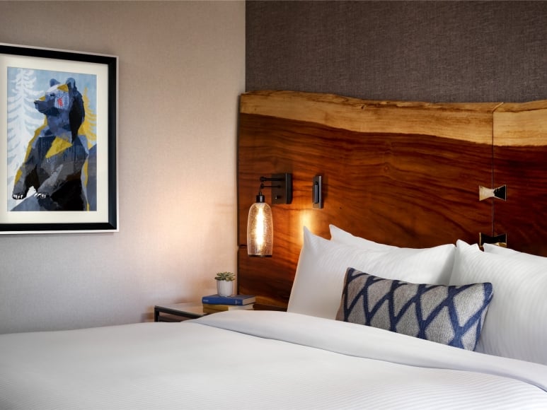 Fairmont Chateau Whistler - Luxury ski hotel gallery image 11 showing alpine architecture, interior design, or mountain views