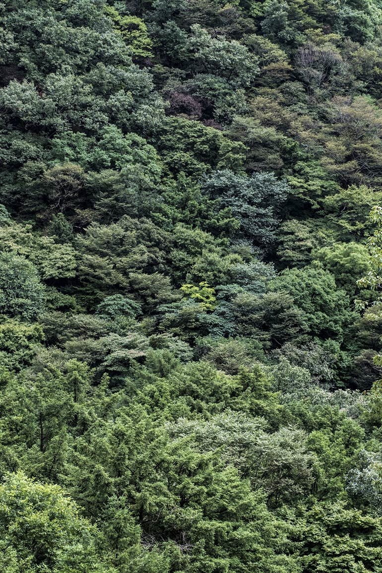 Maison Aribert - Luxury ski hotel gallery image 18 showing alpine architecture, interior design, or mountain views