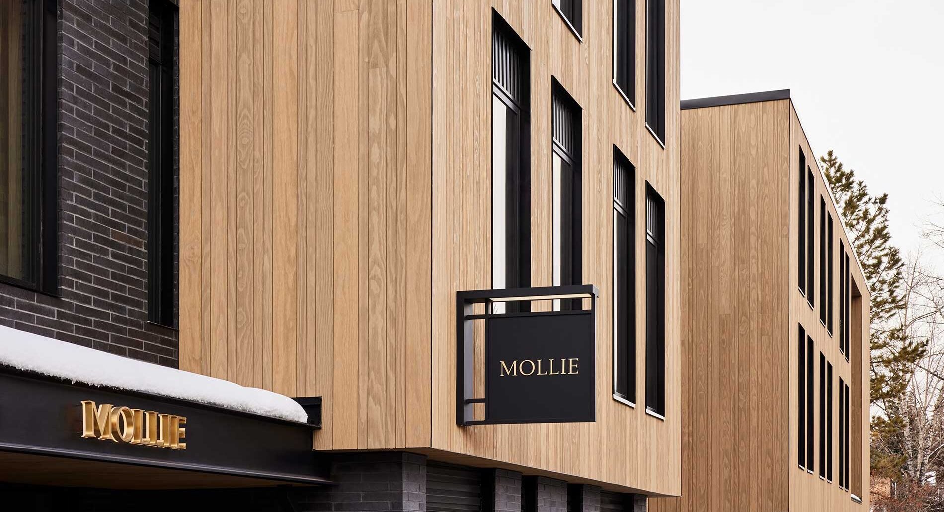 Mollie Aspen - luxury ski hotel in Aspen, Colorado, USA, United States near Aspen Mountain Ski Resort