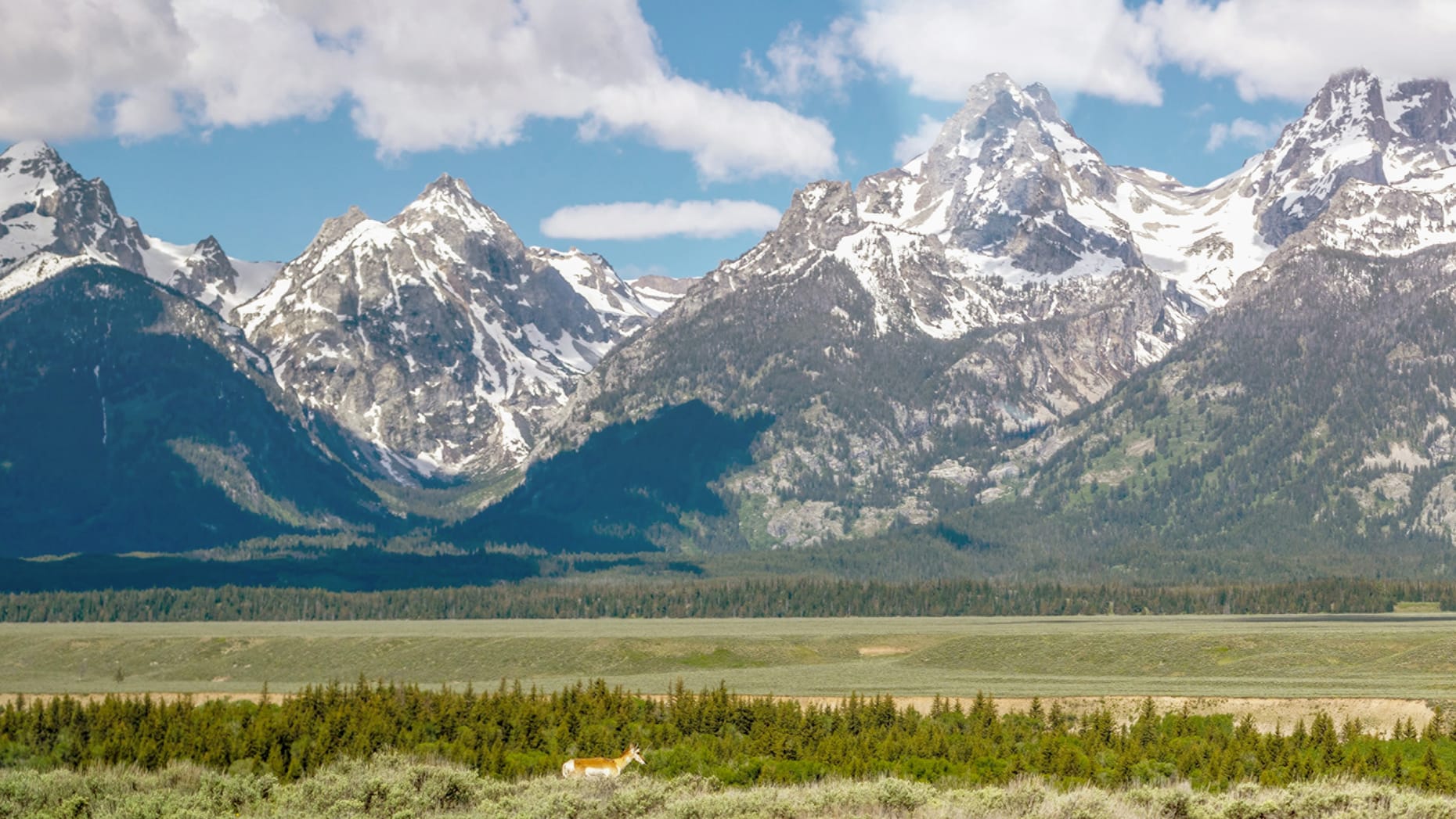 Four Seasons Jackson Hole - Luxury ski hotel gallery image 10 showing alpine architecture, interior design, or mountain views