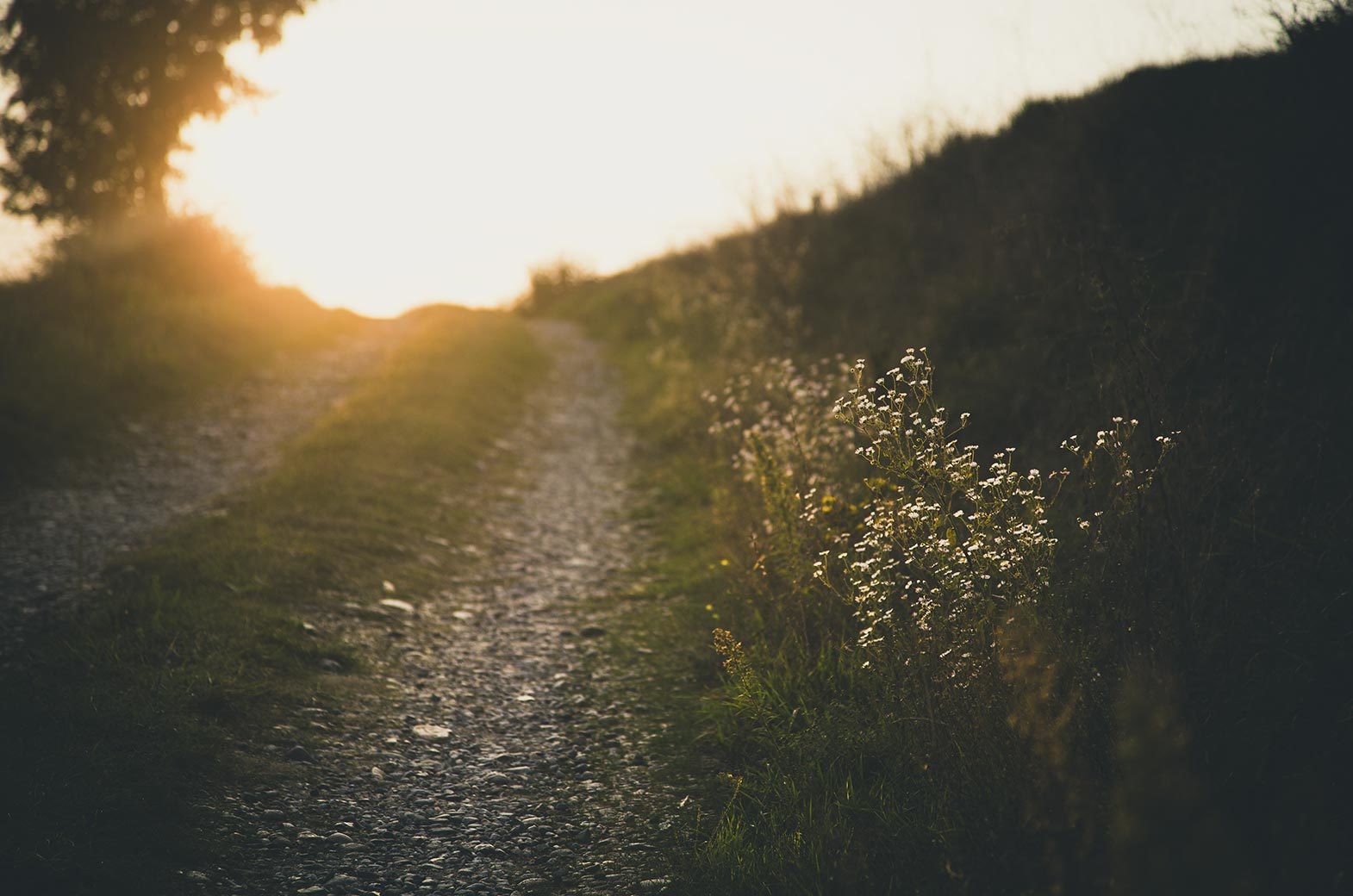 Maison Aribert - Luxury ski hotel gallery image 9 showing alpine architecture, interior design, or mountain views