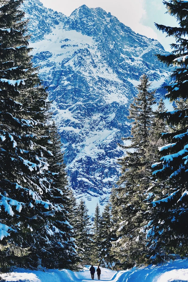 Hotel Jerome, Auberge Resorts Collection - Luxury ski hotel gallery image 21 showing alpine architecture, interior design, or mountain views