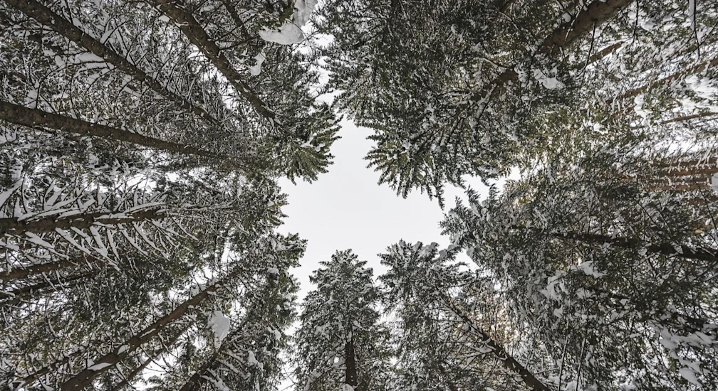 Carlton Hotel St. Moritz - Luxury ski hotel gallery image 19 showing alpine architecture, interior design, or mountain views