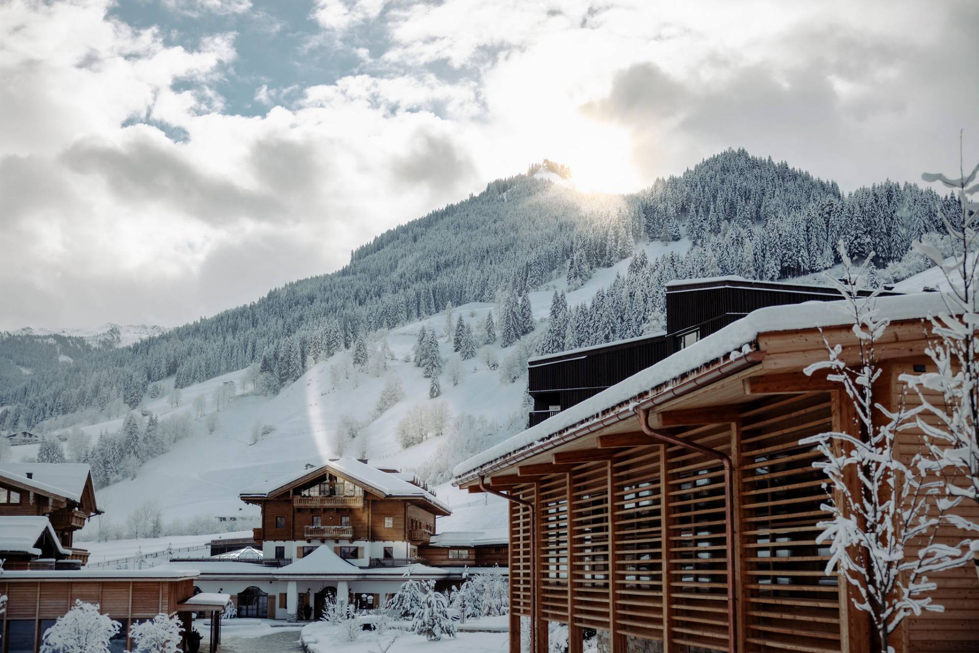 Family Nature Resort Moar Gut - Luxury ski hotel gallery image 3 showing alpine architecture, interior design, or mountain views