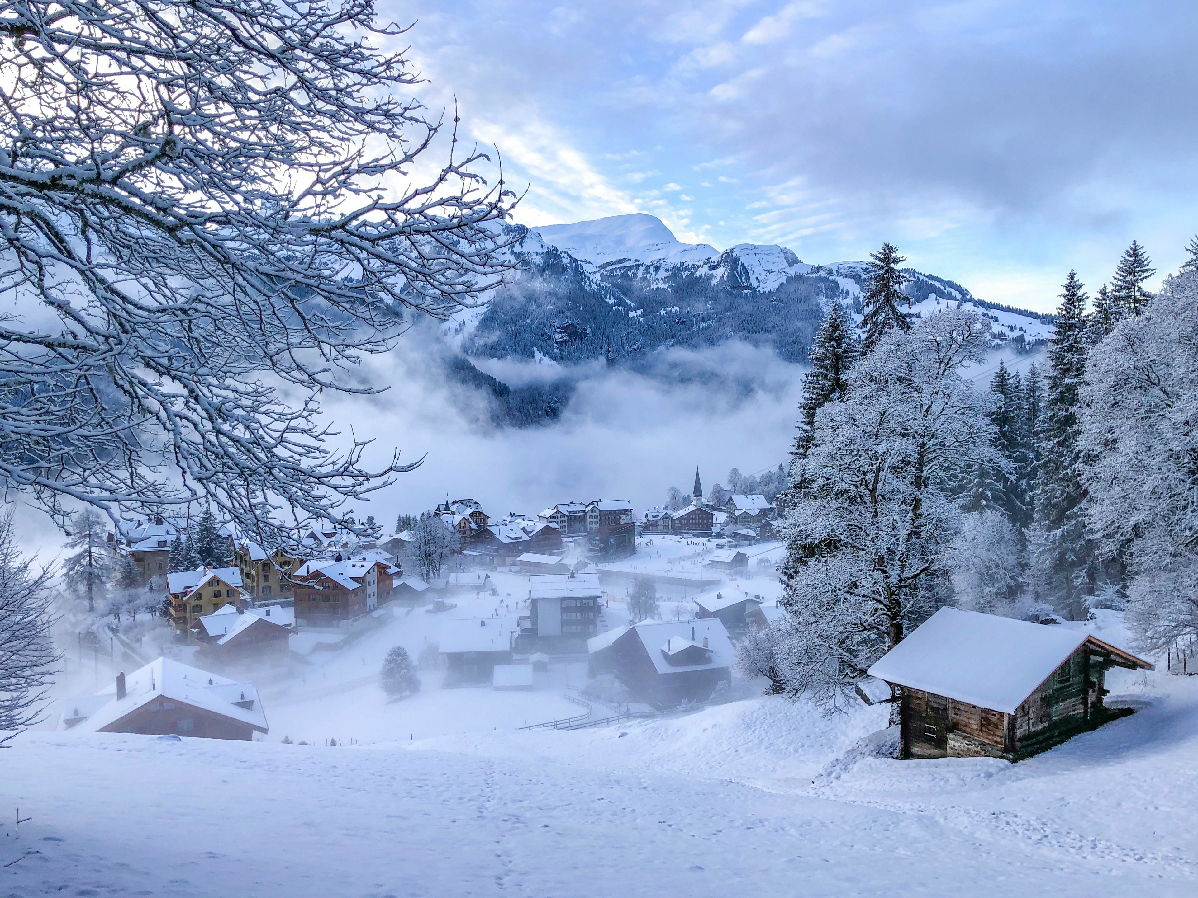 Grindelwald-Wengen 