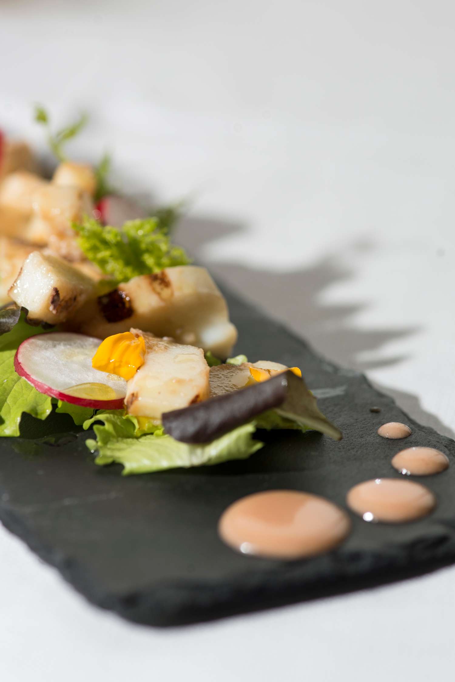 Faloria Mountain Spa Resort - Luxury ski hotel gallery image 3 showing alpine architecture, interior design, or mountain views