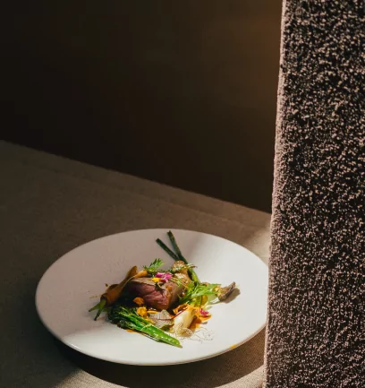 Vigilius Mountain Resort - Luxury ski hotel gallery image 13 showing alpine architecture, interior design, or mountain views