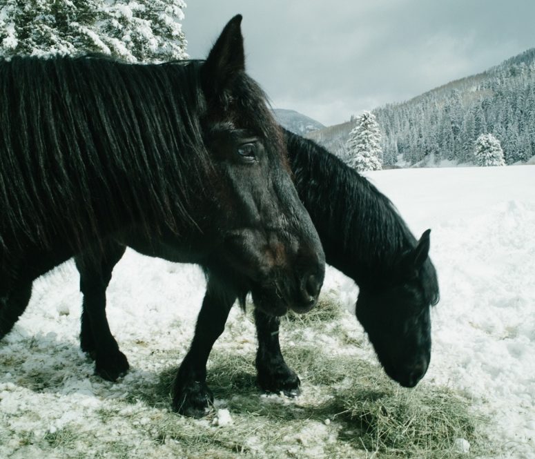 Dunton Hot Springs - Luxury ski hotel gallery image 19 showing alpine architecture, interior design, or mountain views