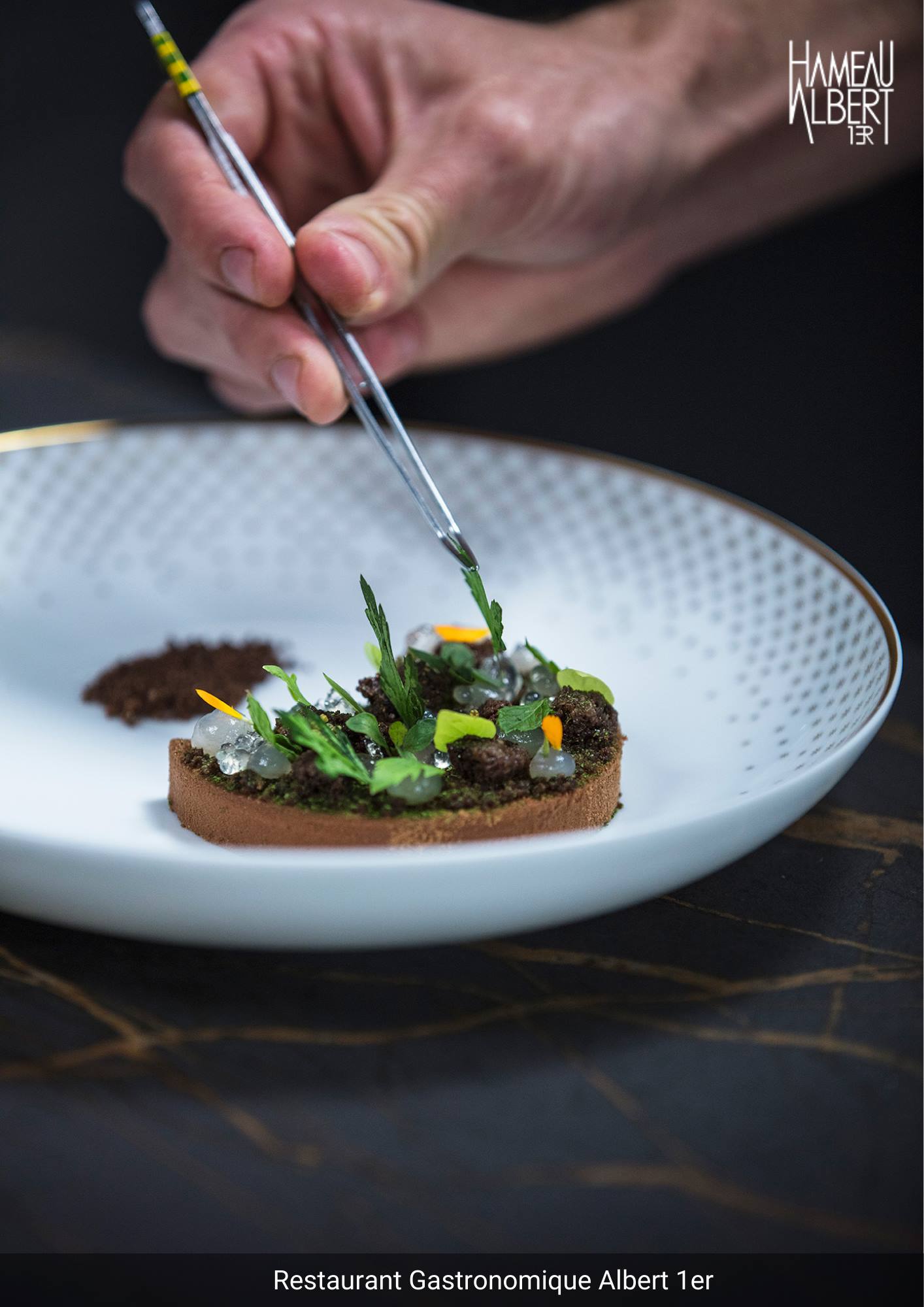 Le Hameau Albert 1er - Luxury ski hotel gallery image 10 showing alpine architecture, interior design, or mountain views