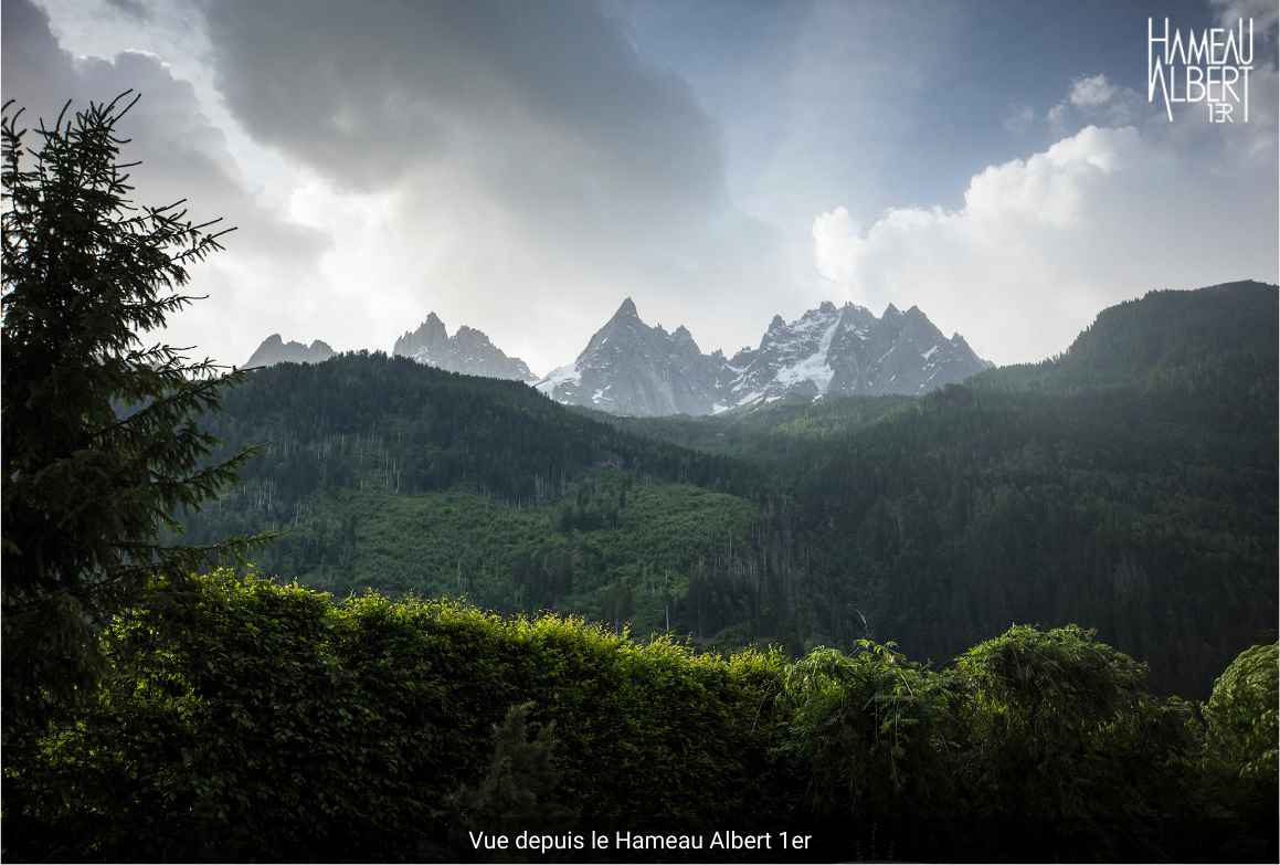 Le Hameau Albert 1er - Luxury ski hotel gallery image 24 showing alpine architecture, interior design, or mountain views