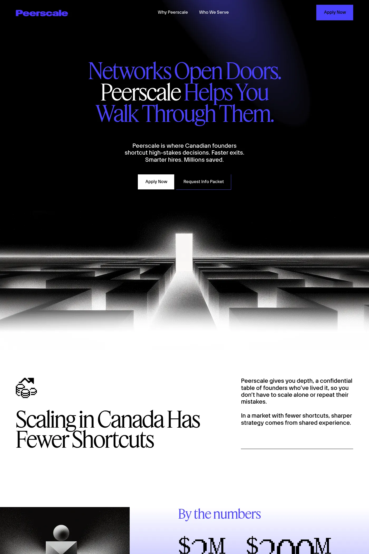 Peerscale desktop screenshot