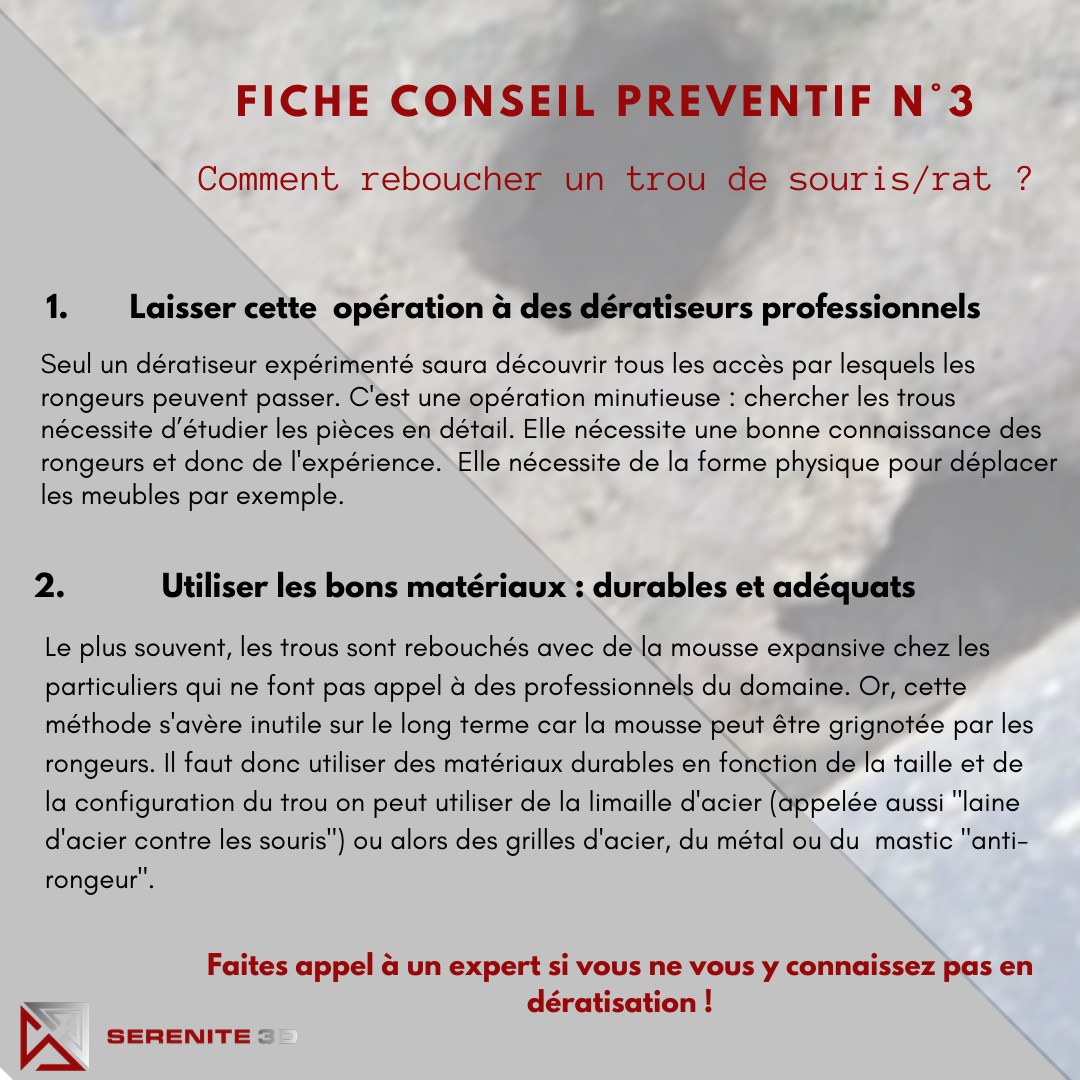 Combattre l'infection de rats et cafards à Arcueil