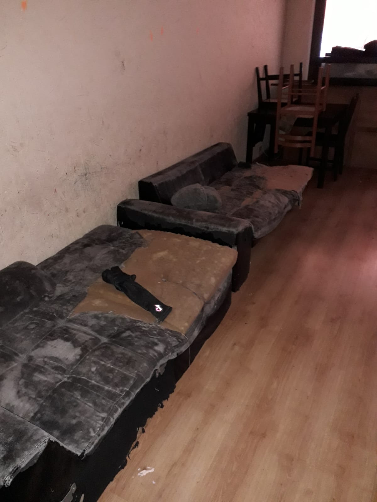 Combattre l'infection de rats et cafards à Sevran