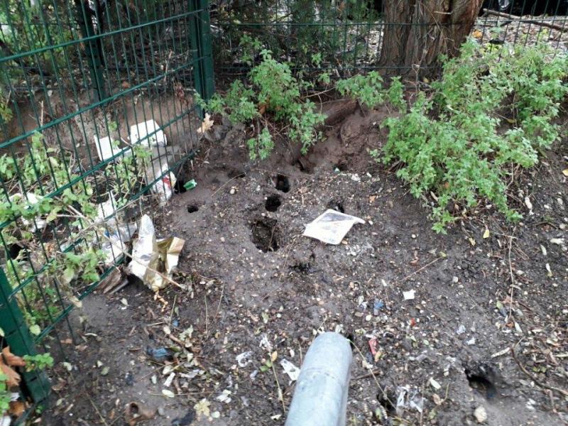 Combattre l'infection de rats et cafards à Tournan-en-Brie