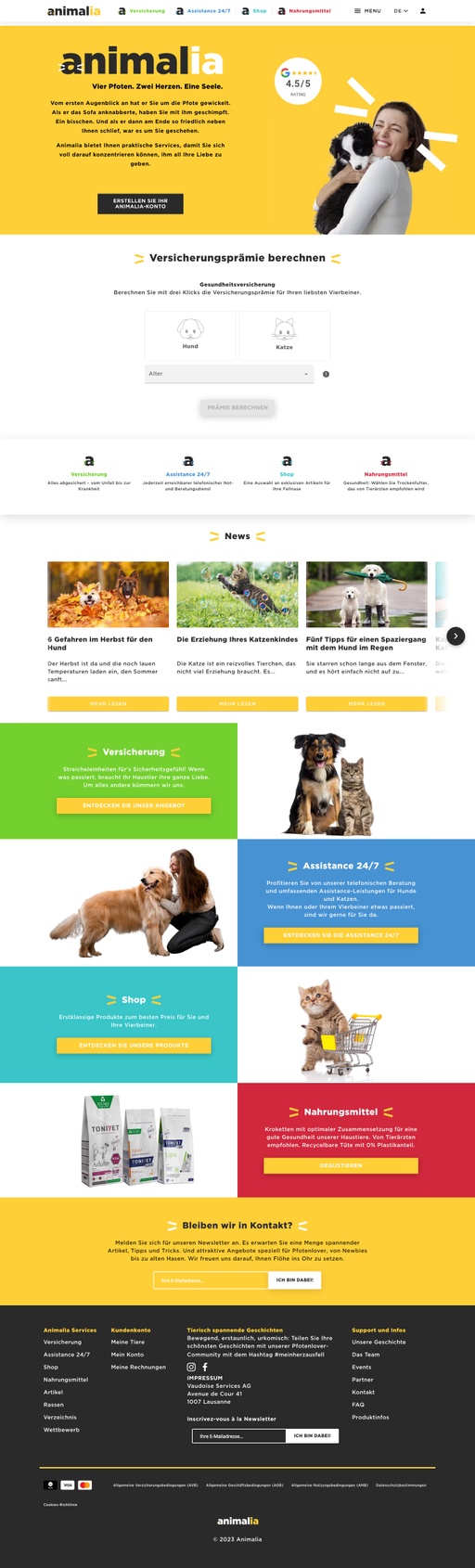 Screenshot from website top part