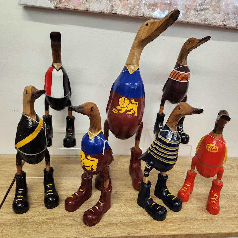 Footy Ducks