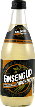 GINSENG UP GINGER BREW 24/12 oz