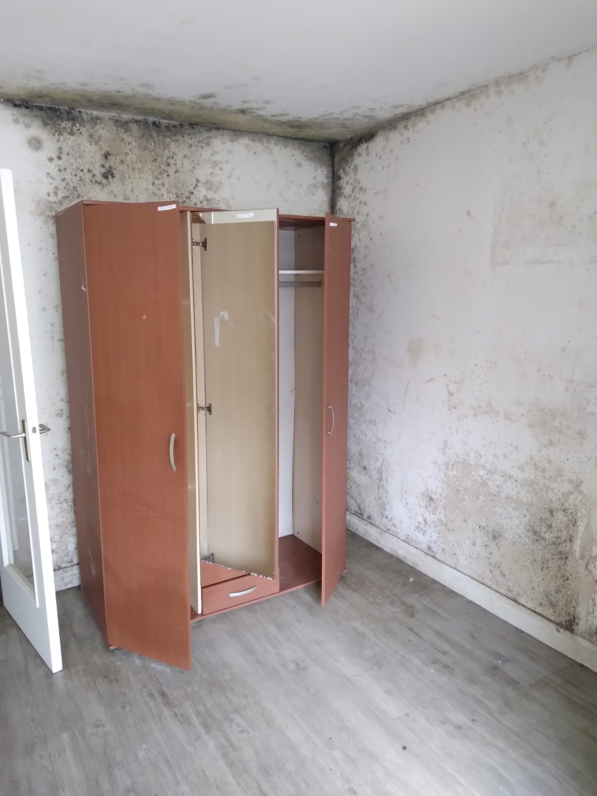 Combattre l'infection de rats et cafards à Meaux