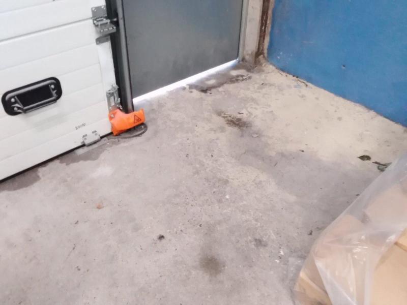 Combattre l'infection de rats et cafards à Nemours