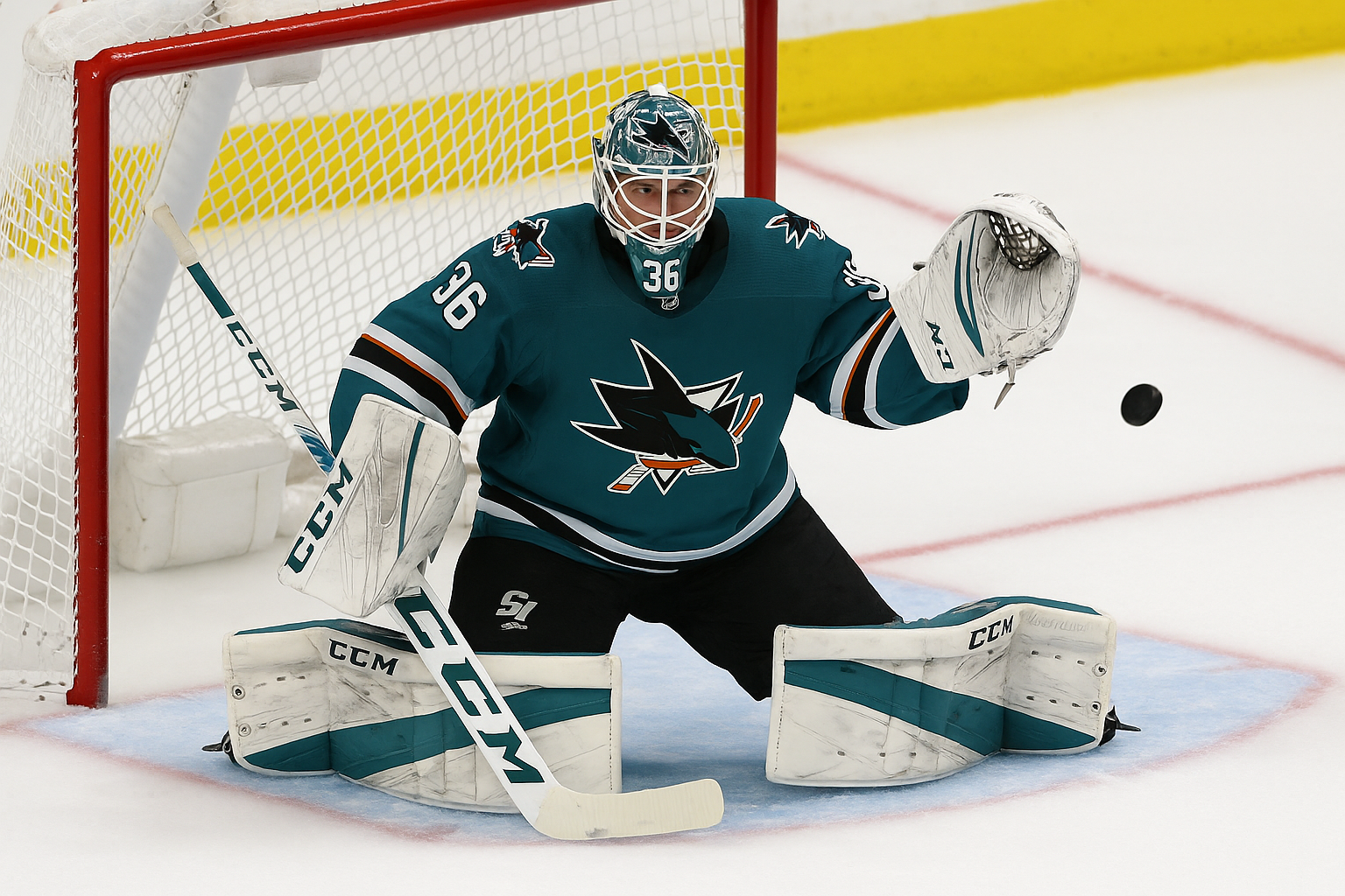 san jose sharks