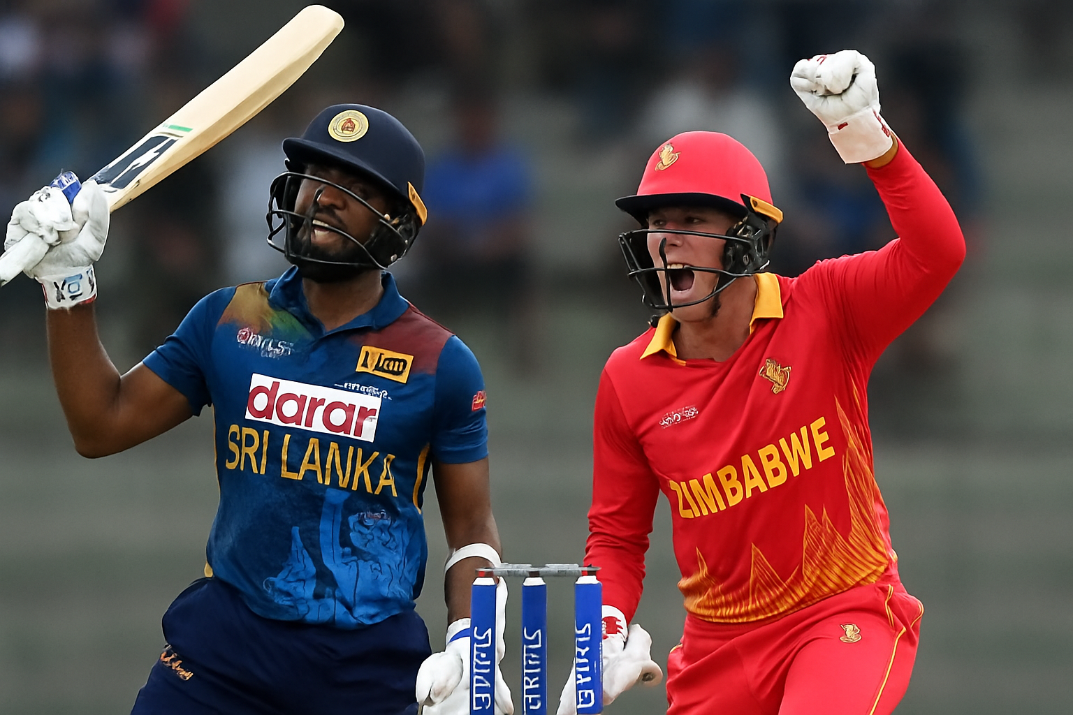 sl vs zim