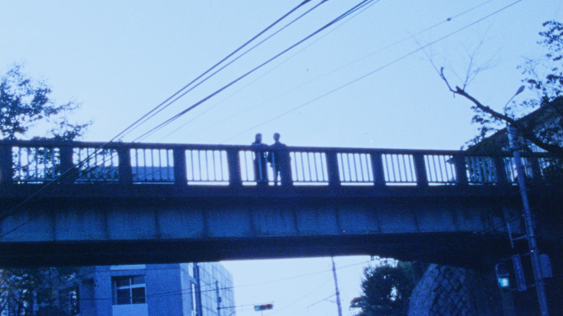 Looking for an Angel