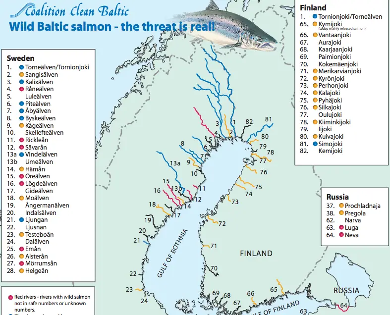 Poster on the threats to the genetic diversity of the wild Baltic Salmon