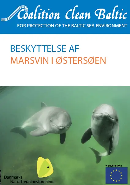 Baltic Harbour Porpoise