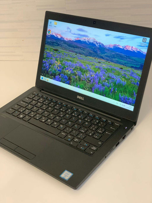 **Dell Latitude 7280**
