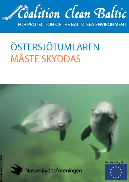 Baltic Harbour Porpoise