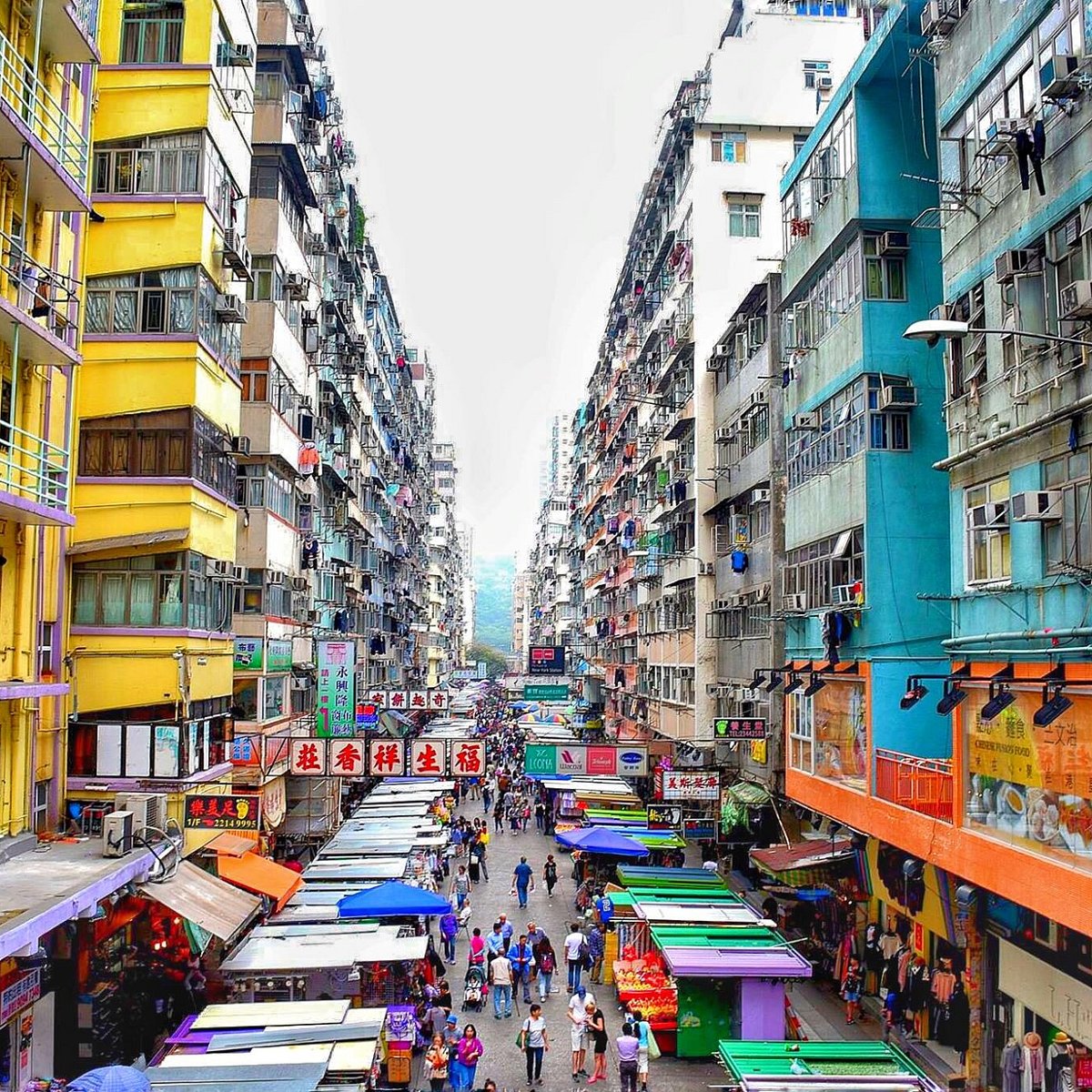 Exploring Yau Tsim Mong: The Heartbeat of Mong Kok and Yau Ma Tei