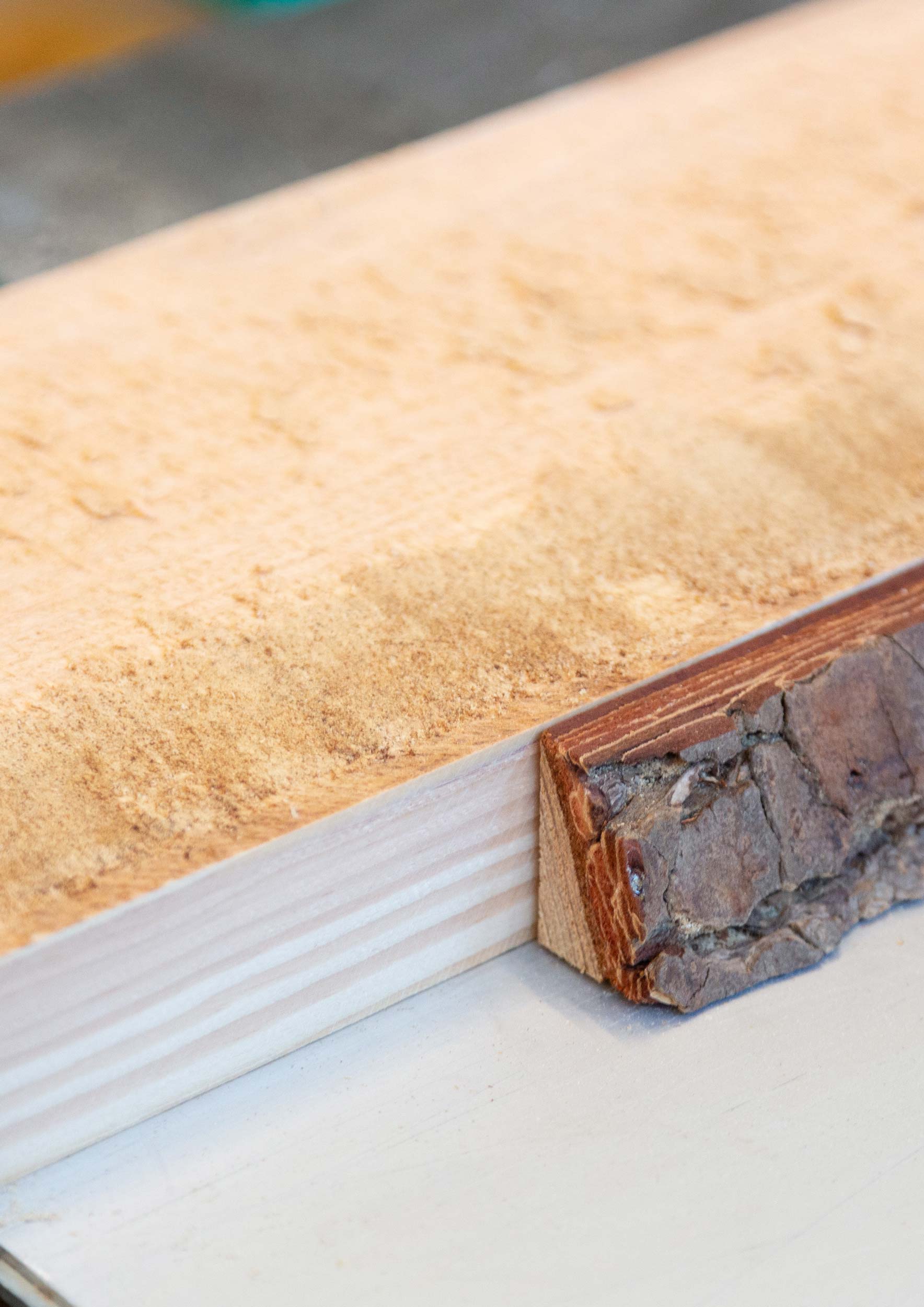 Archival Studies Thoravej High Chair Samuel Causse 3