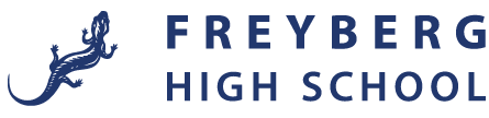 Freyberg High School