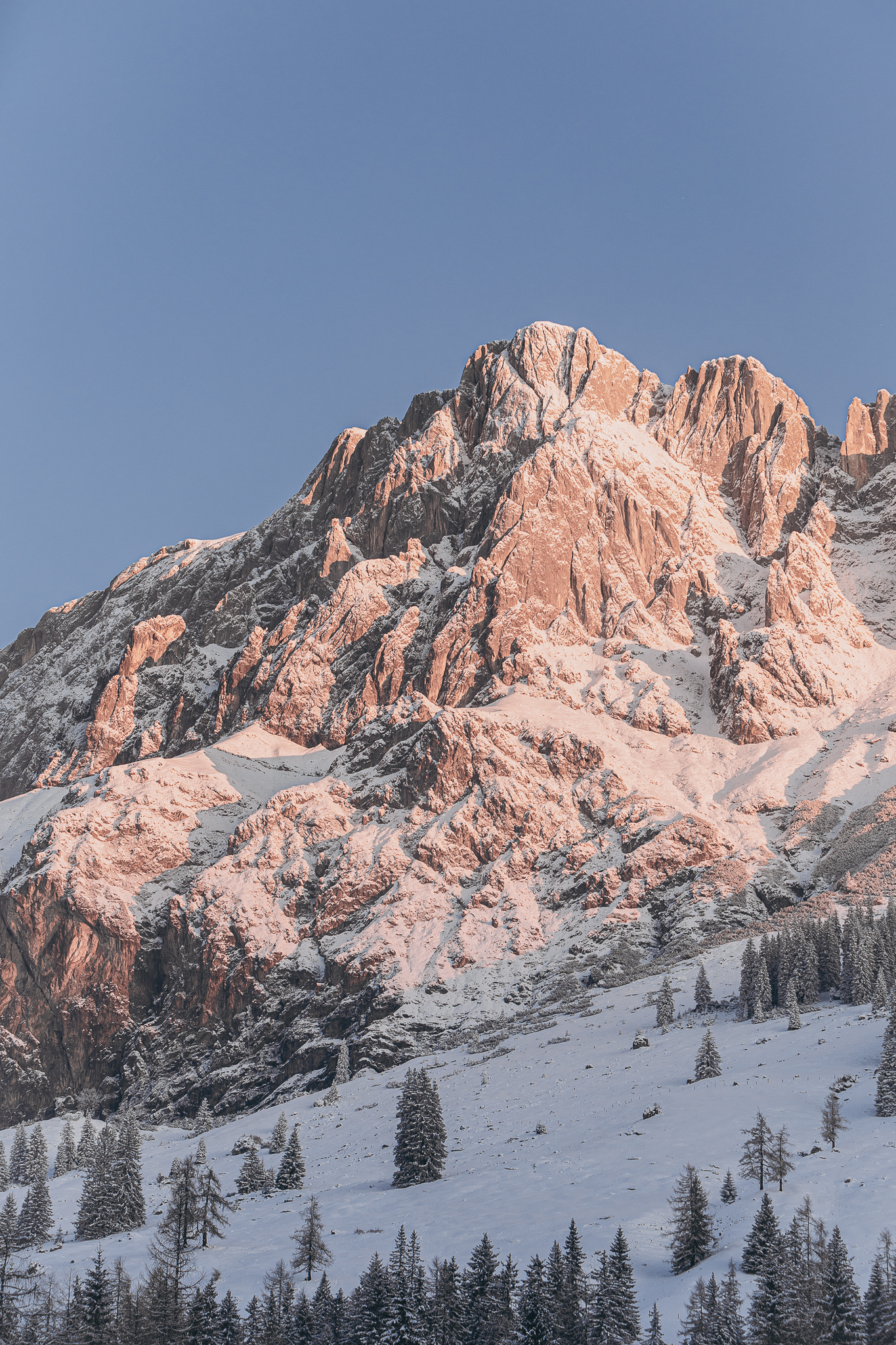 stieg’nhaus gallery 1