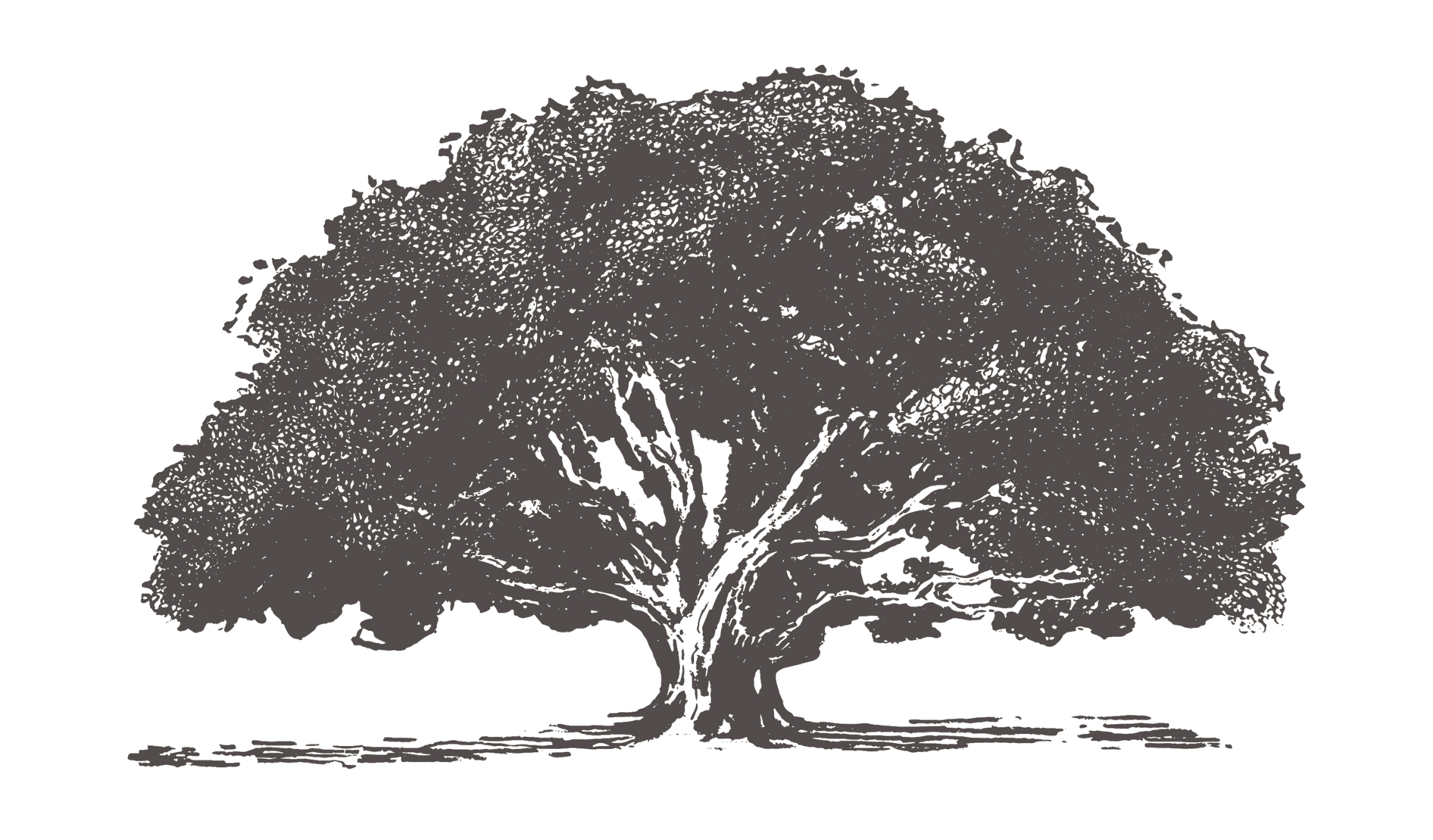 FIG Fellowship with Yoshua Bengio