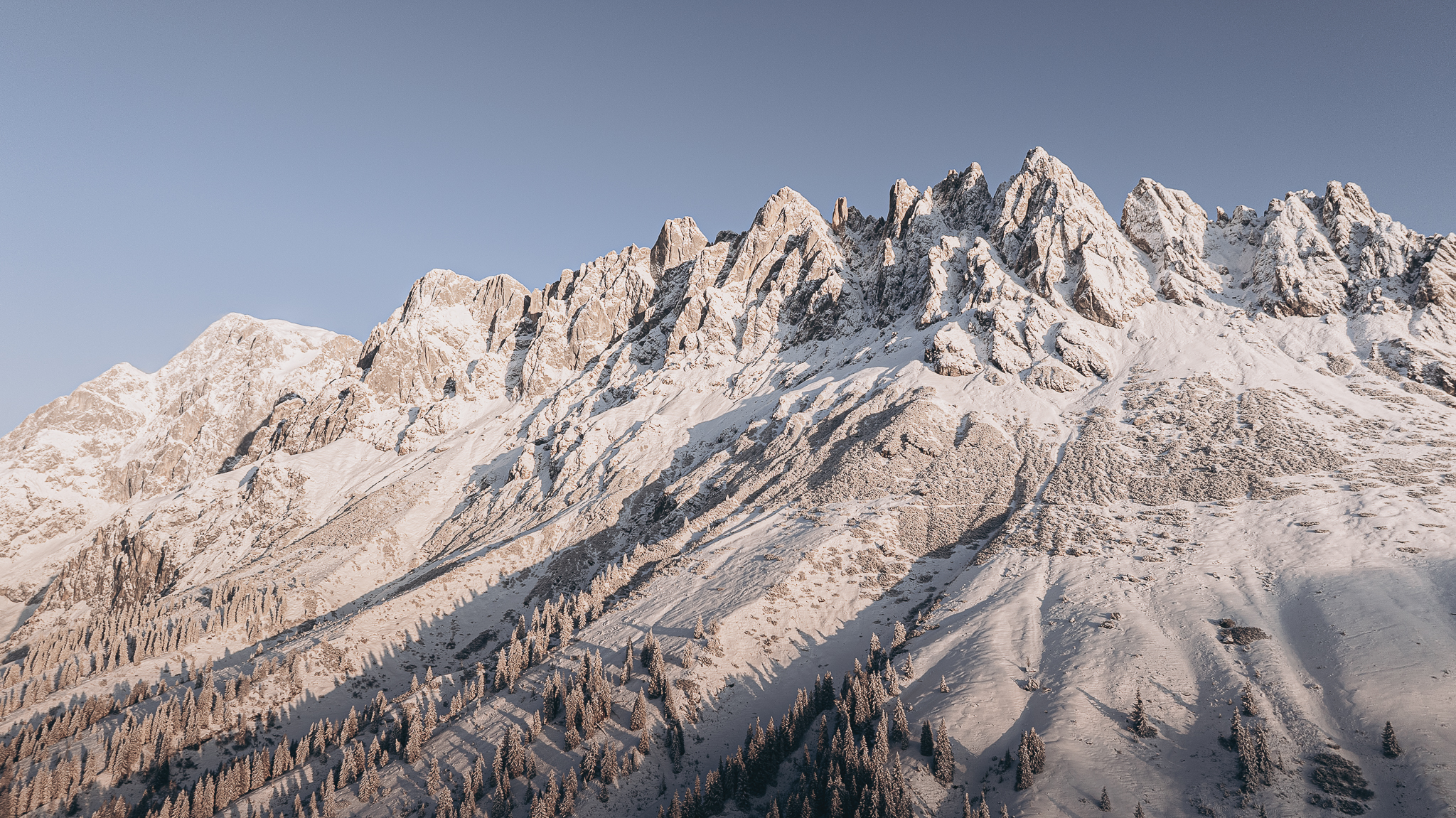 stieg’nhaus gallery 4