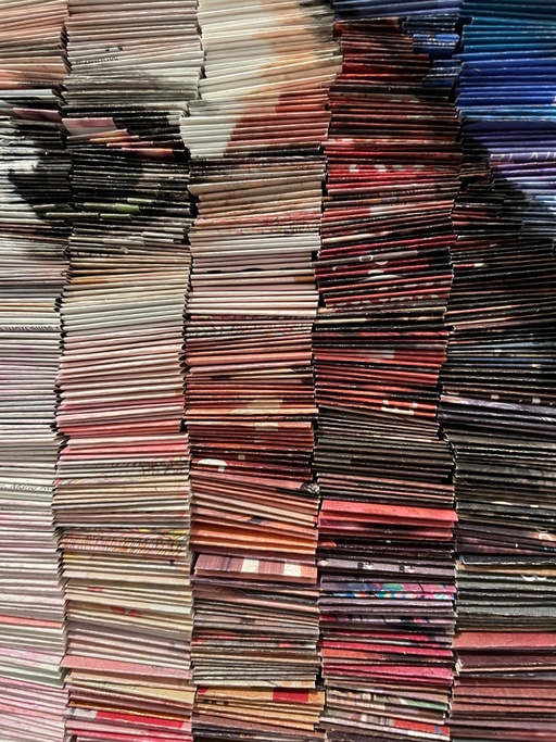 Girl with the Pearl Earring