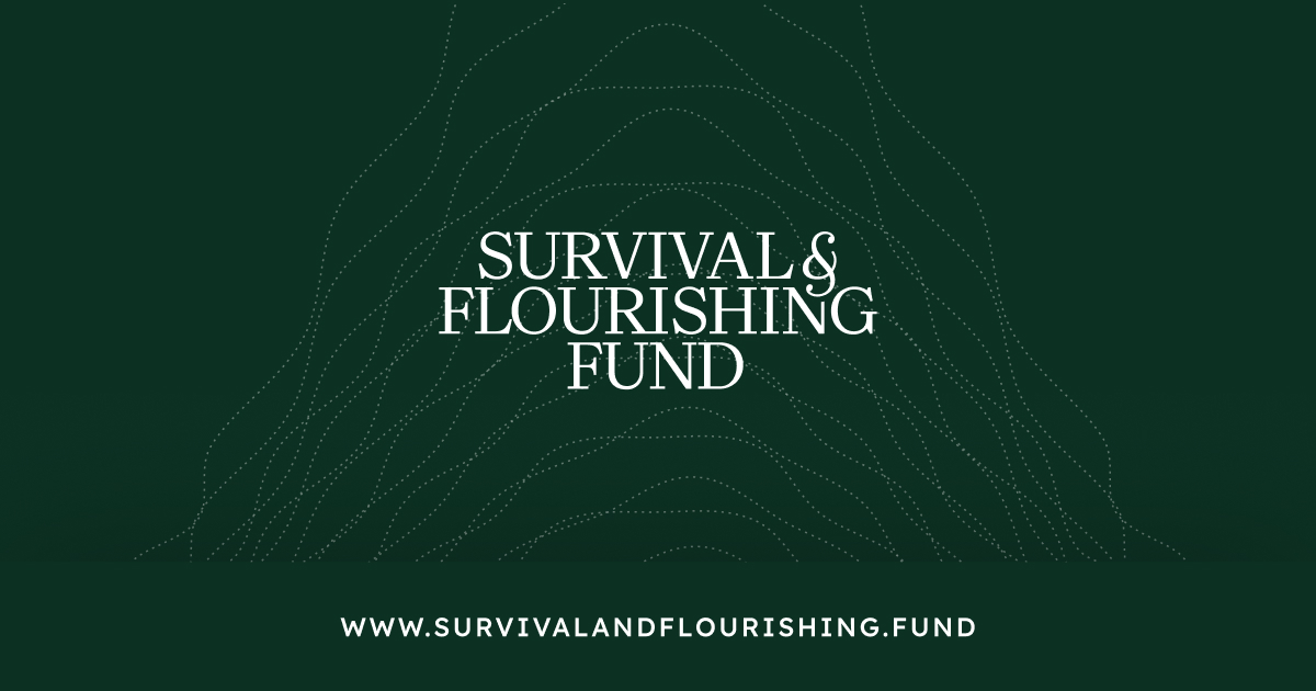 Apply for Funding to do Speculative AI Safety Work