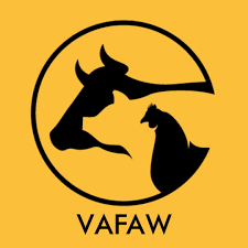 Fundraising & Development Position