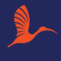 International Standards Fellow