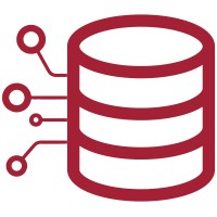 ML Engineer, AI Risk Initiative