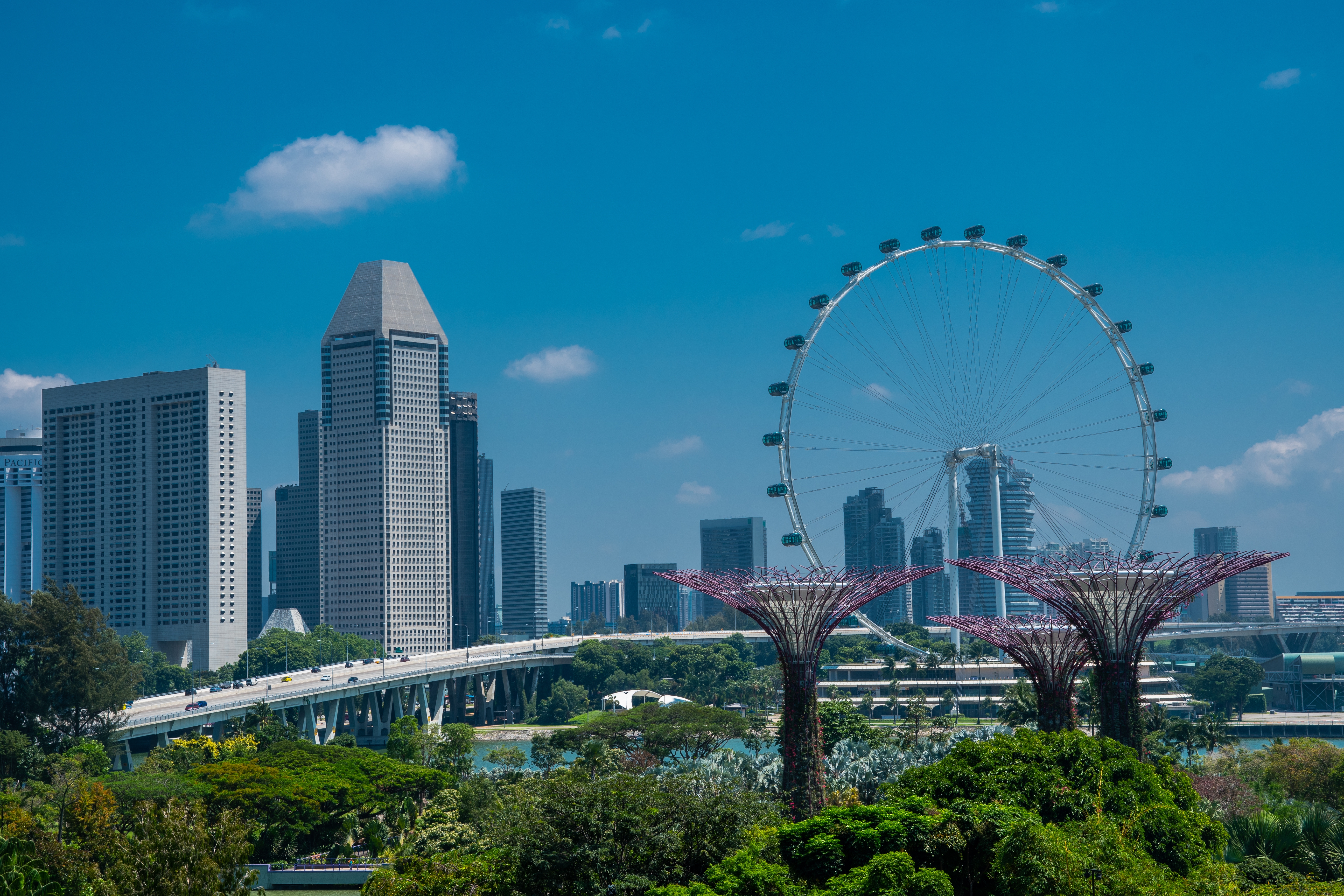 Local IT Support in Singapore: Faster, Smarter, and Tailored for SMEs