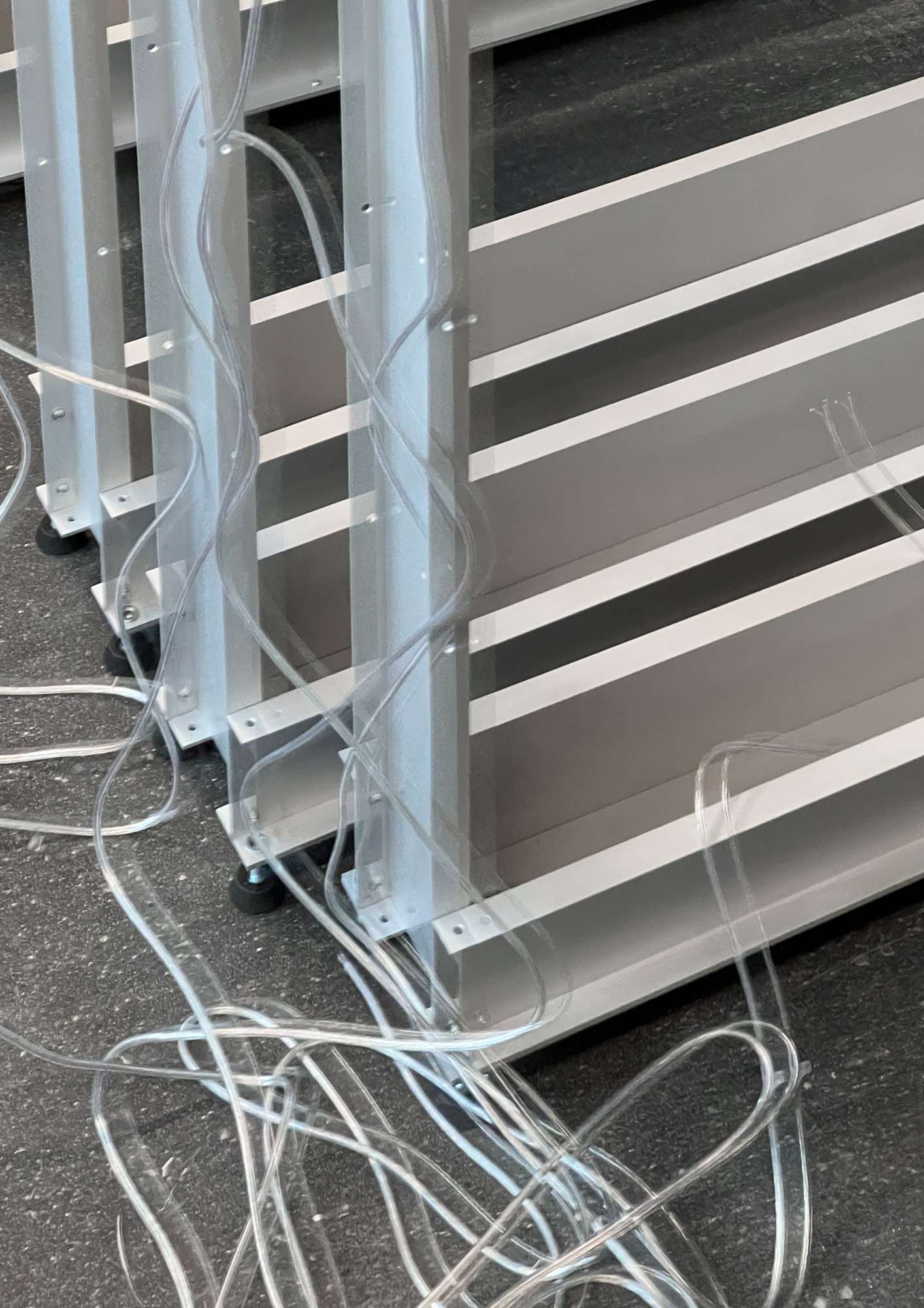 Archival Studies D Line Process 5